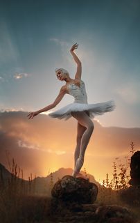 Белый лебедь