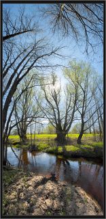 Весна по вертикали