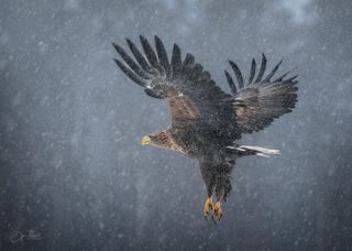 Невесомость