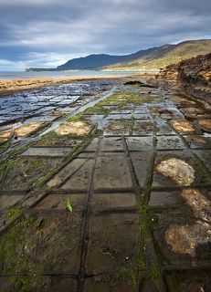 3.	Мозаичная Мостовая является редкой особенностью эрозии осадочных пород