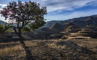 Террасы в утреннем свете красиво выглядят издалека