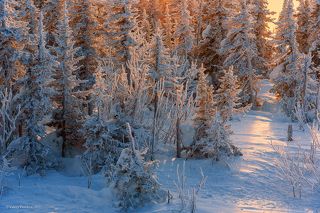 02 … зато, не даёт заскучать в ожидании интересного света …