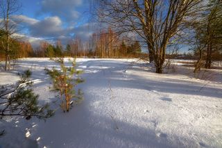 объектив самьянг 14 мм