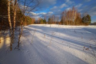 объектив самьянг 14 мм