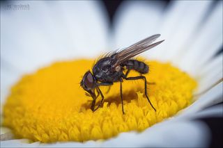 там, на солнечных полянках...