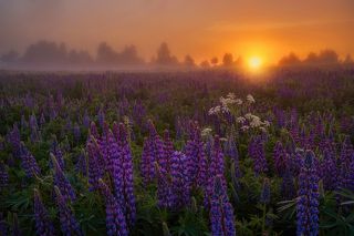 объектив пентакс 28-105 мм