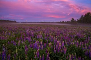 объектив пентакс 28-105 мм