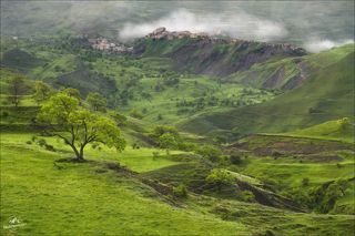 Гунибский район