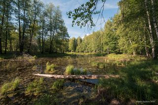 02 То же место спустя 2 недели