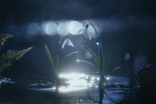 Это солнце для тебя...