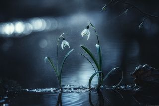 Под каплями дождя, чувствуя себя живыми...