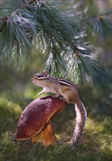 Ближе к цели!