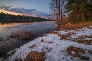 объектив самьянг 14 мм