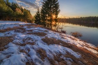 объектив самьянг 14 мм