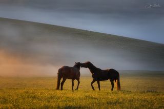 Дай, что на ушко шепну!   Алтайский Kрай