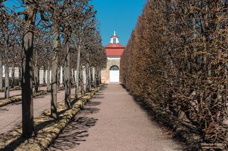 Моплезирный сад