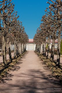 Моплезирный сад