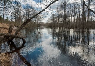 01 Весенний разлив далеко затопил низкий берег небольшой, но шустрой лесной реки, …