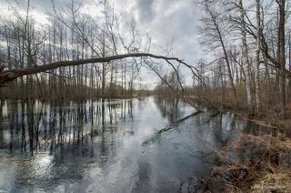 02 … а серое небо упало в просторные воды, …