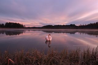 Утро на озере.