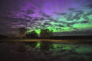 Россия.Псковская область.Музей -заповедник \