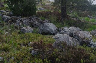 Среди камней