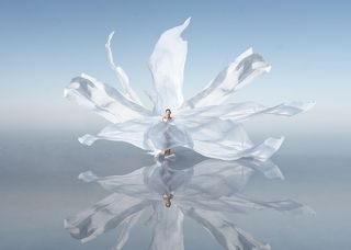 Сердце Эльтона