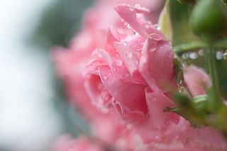 Гелиос-44 белый