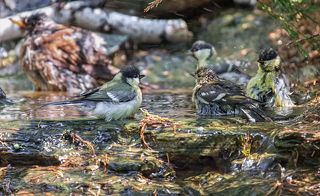 на градуснике около 40 градусов