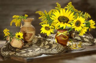 Подсолнухи