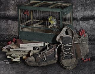 Чижык пыжик где ты?