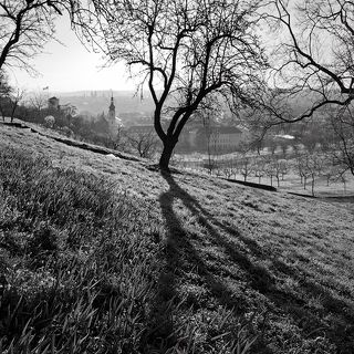 Prague II.