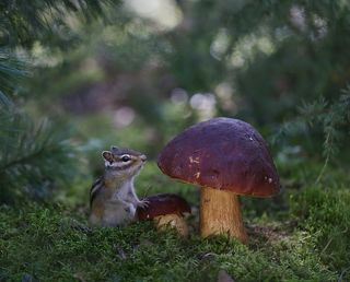 Или маленький?