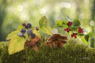 - Тётя, мы ищем свою маму! Может это Вы?