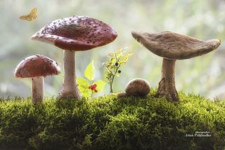 - Мам эту даму от зависти к нашим шляпкам аж разорвало!