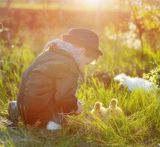 Малыш с утятами