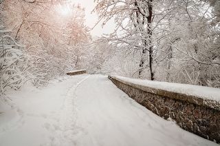 Зимняя дорога