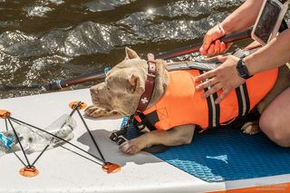 Фестиваль «Фонтанка SUP - 23»