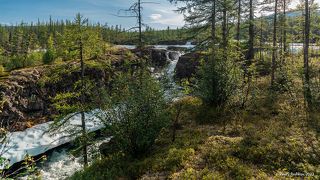 03 Молодая сочная зелень на скалах …