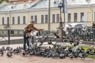 Любовь и голуби. Крюков канал. сентябрь 2019г.