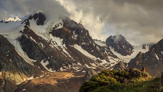 Цветут альпийские луга