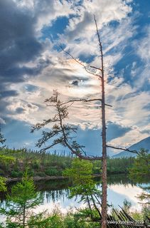 03 … но сильнейшие выживают несмотря ни на что…