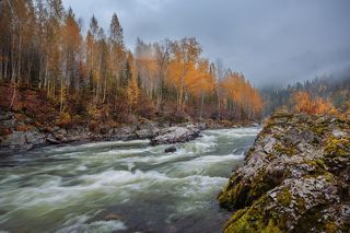 Шумное исполнение осенней симфонии.