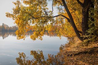 Творчество природы.