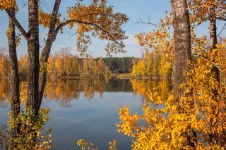 Тишина и запах осени...