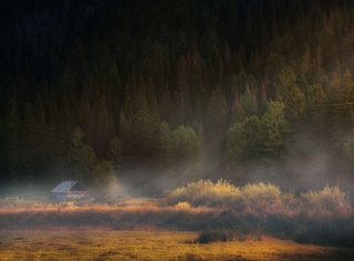 Таёжный домик в осени один...