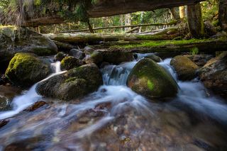 Река Бадук...