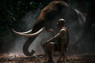 A mahout and his elephant