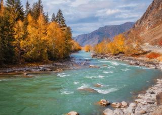 Нарядный берег.