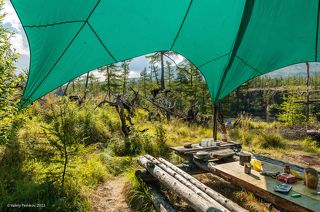 02 Даже не покидая наш стол можно было снять много чего, …